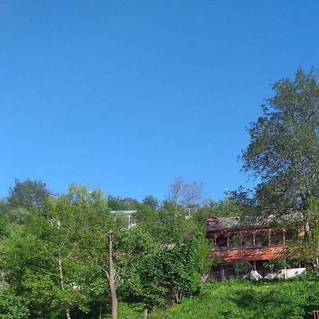 Family Hotel Dilidzjan Buitenkant foto